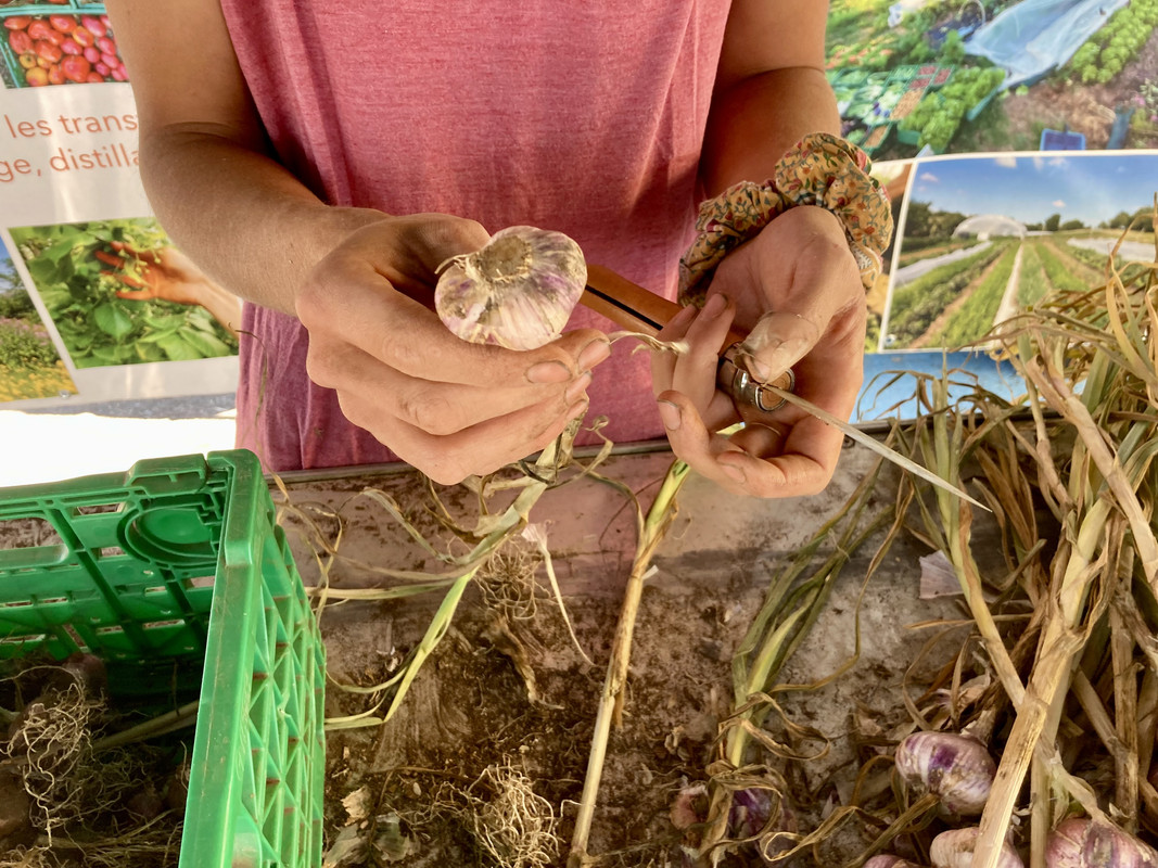 7ACC2373-9A4E-45EC-8C84-28F75F2FDB9D