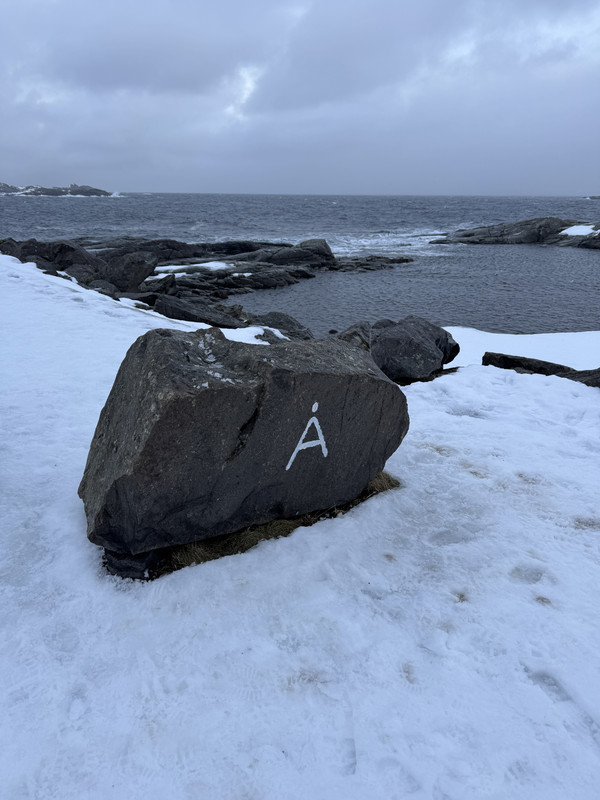 [Immagine: IMG-8896.jpg]