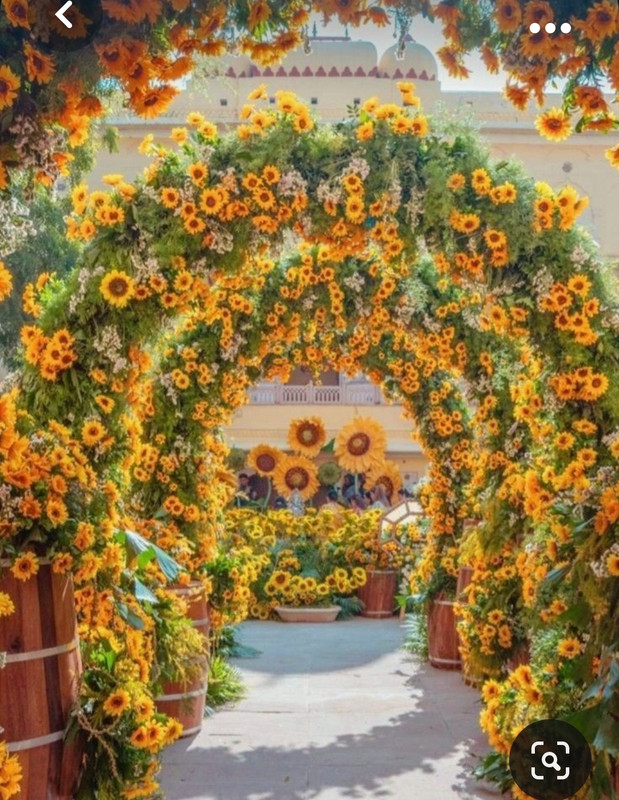 Screenshot_20231005_212714_Pinterest