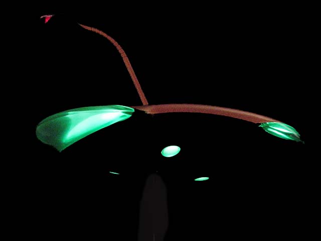 MiM Lighting Kit (2)