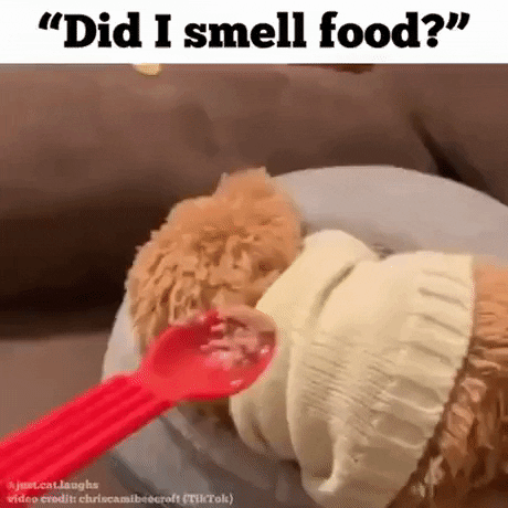 https://i.postimg.cc/76B7TYFL/2.gif