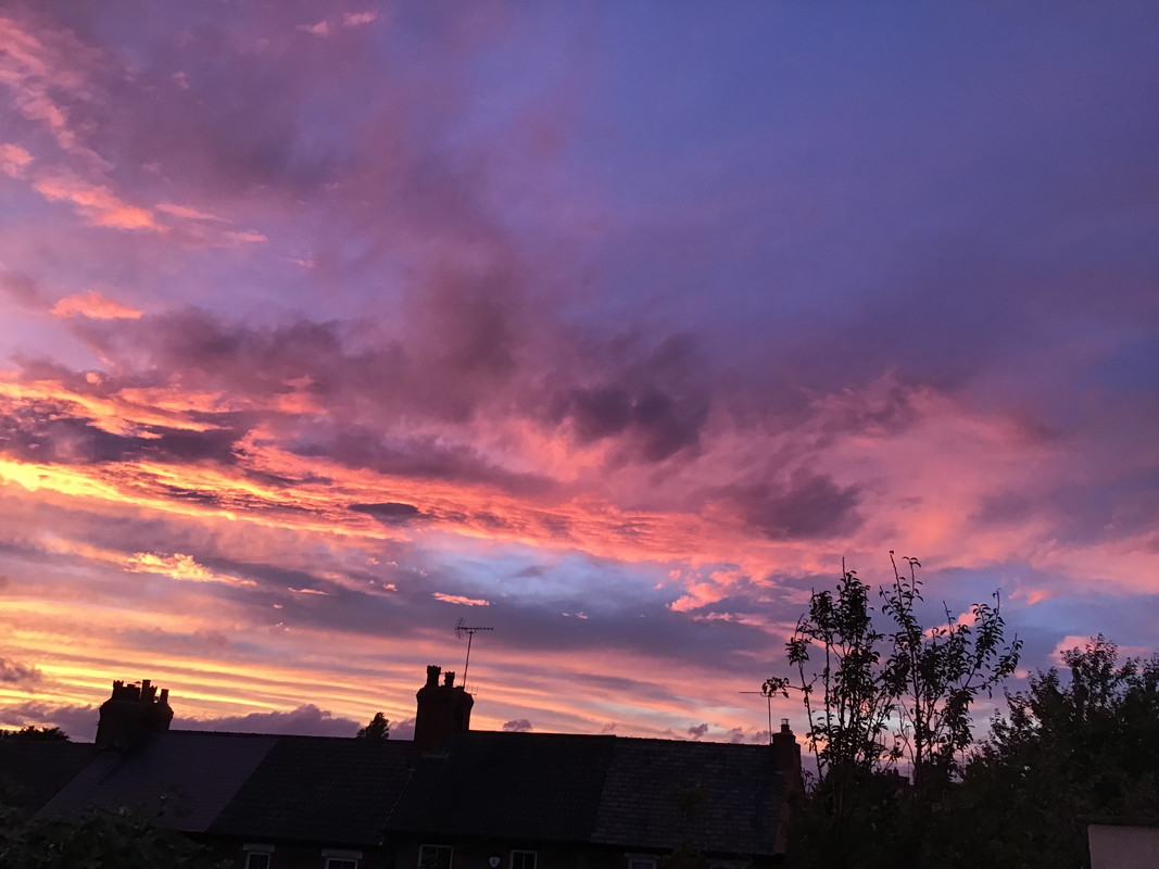 11CDB368-E2BA-4818-B68A-20B1BDCEFDCA