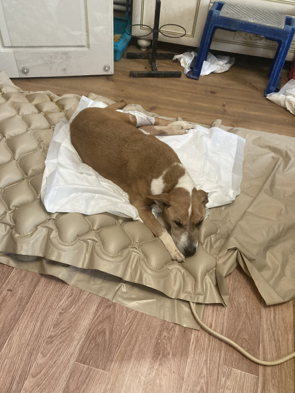 BCB85B68-B662-4C3B-9986-219F520A8BEE