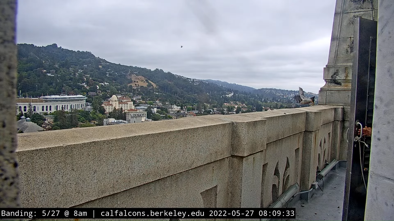 5-27-22 Banding (Raw North Footage) 0-18 screenshot