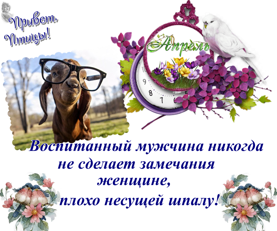 https://i.postimg.cc/76BXg57x/03-04.png