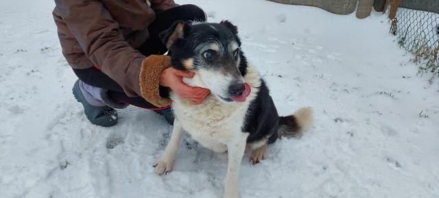 97FC9356-C015-4582-8F74-9CEE9A73F35E