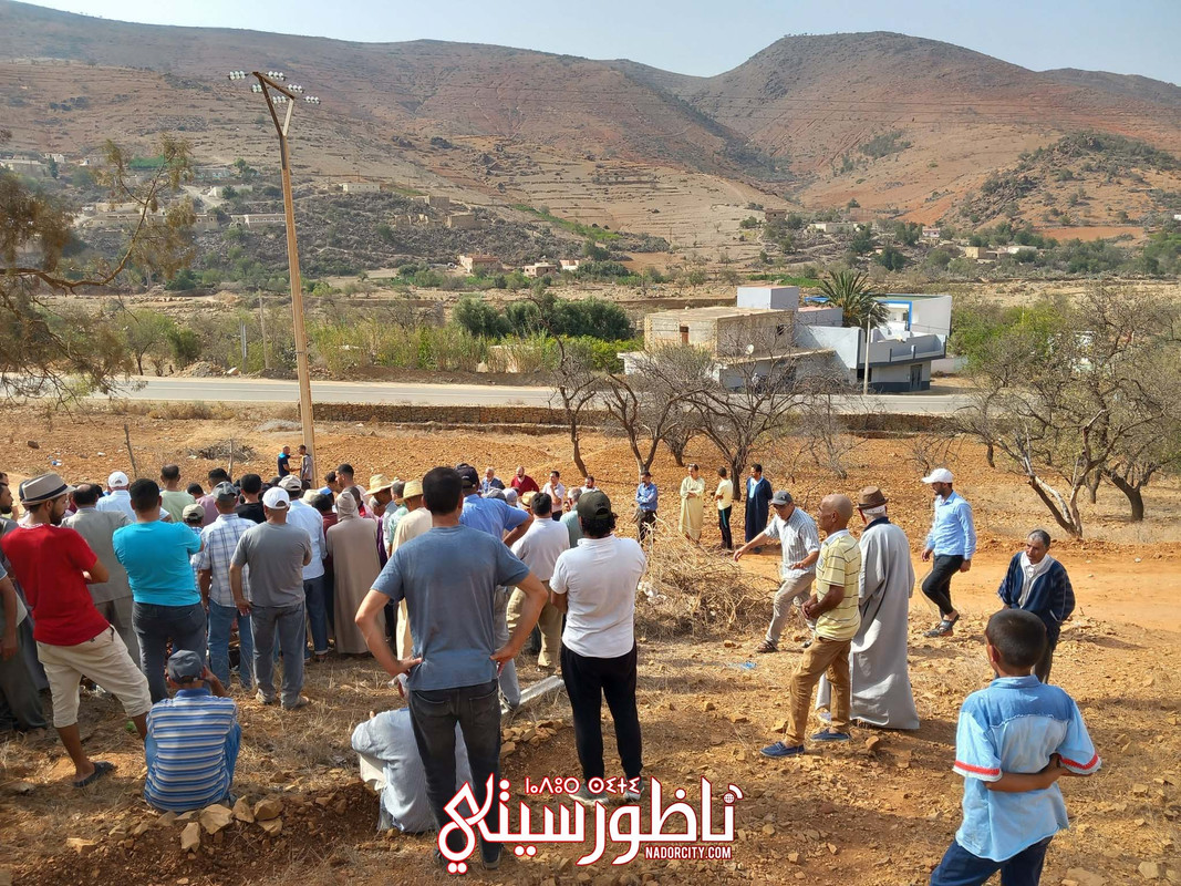 540173865_1314786610045227_401932089179834615_n (1)