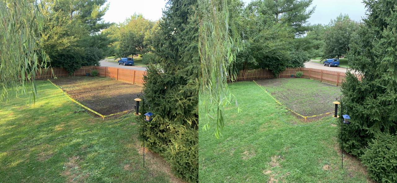 C096E729-1E22-4FF8-A420-EBE106E3D805