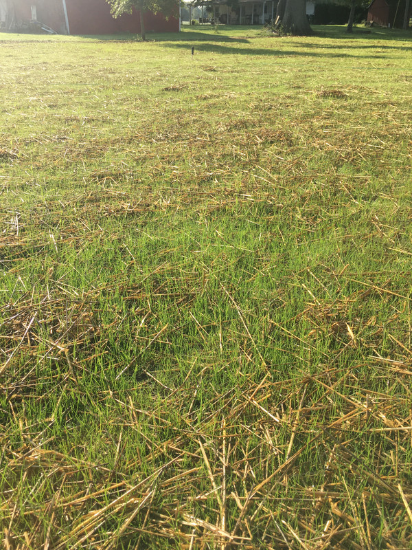 3E3377D6-1EC6-4D37-9F46-F6DCE3B07E04