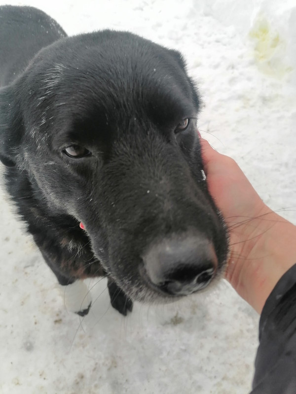 IMG-16c6319b59e83aef62b003a44fb5728b-V