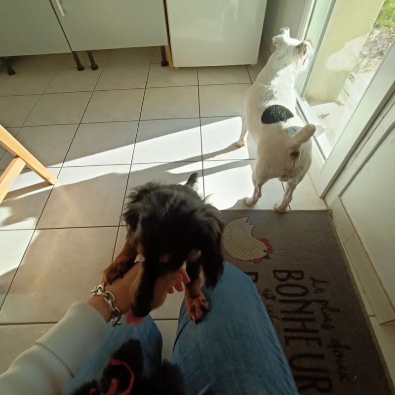 [Image: image000001-75.jpg]