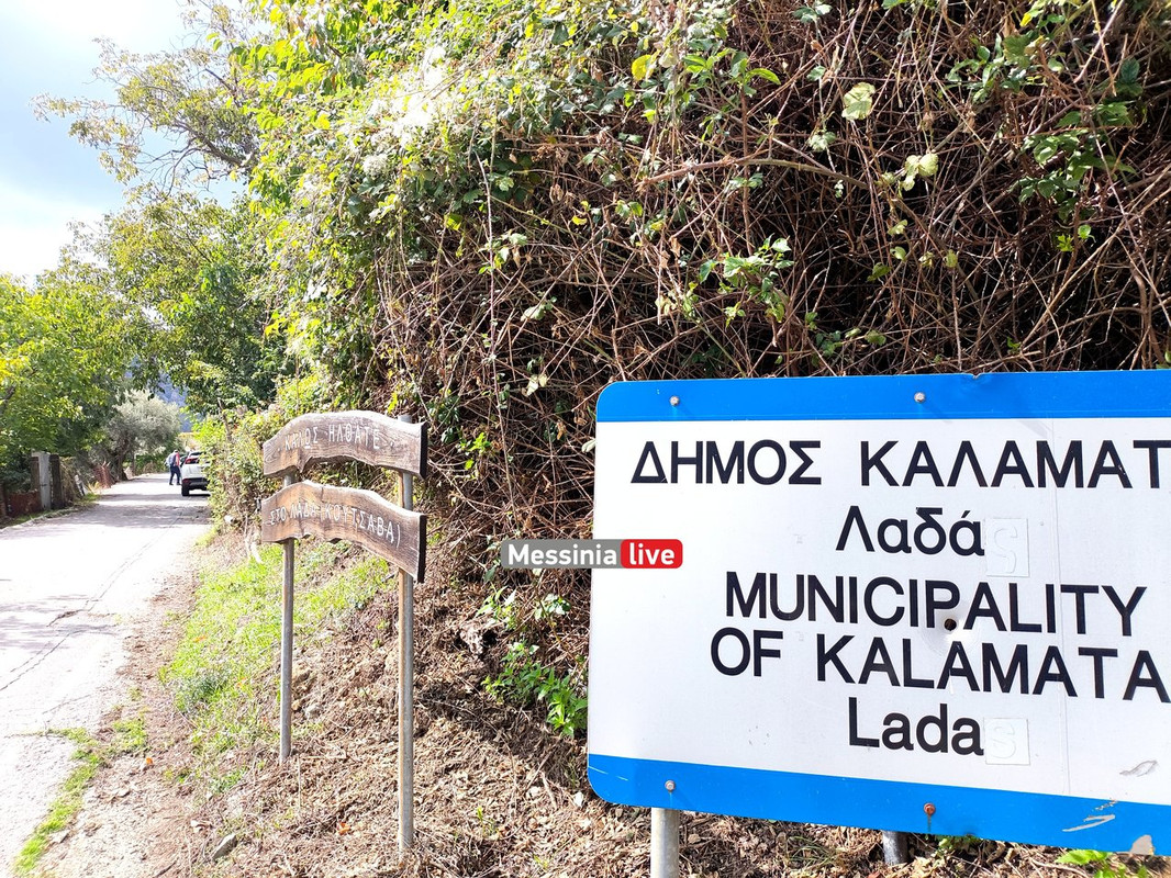 LADASIMG-20251012-132638