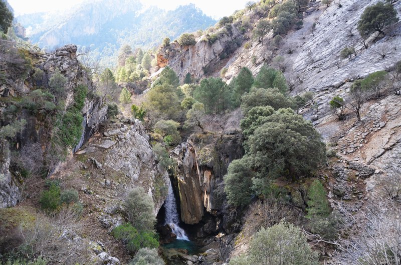 RUTA RIO BOROSA-12-3-2016-JAEN - Paseando por España-1991/2016 (79)