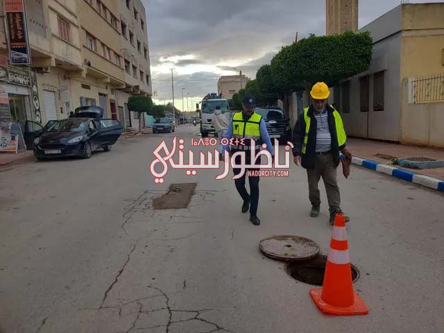 582975560-1431659791662451-5786144346120486544-n