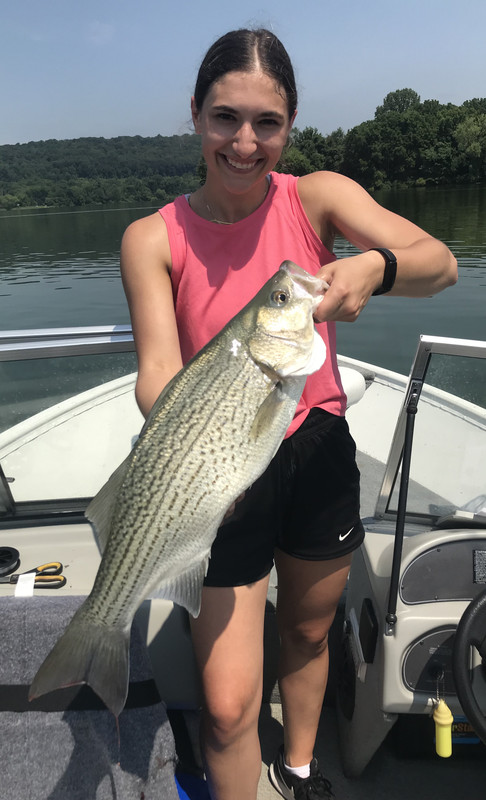 DF8BC501-5AAD-4C42-86CA-AEE21B981BBC