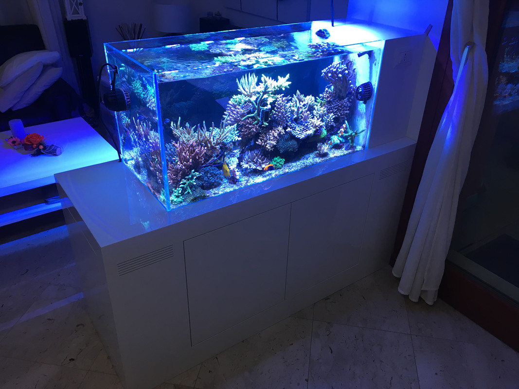 99507302-1367-493D-8B08-38FF686B5077