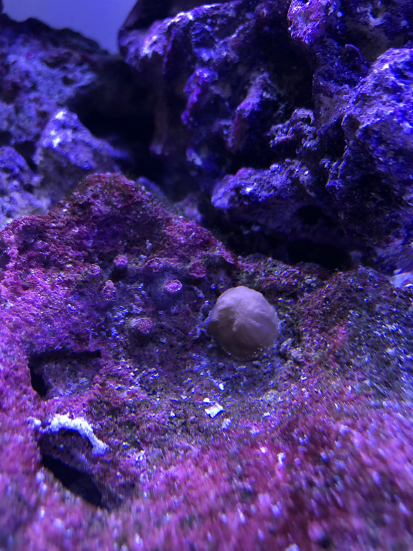 FC656822-BD04-4CFA-A789-0292E4393601