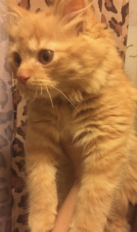 A3BF2305-1107-407E-B7AB-956F45181B70