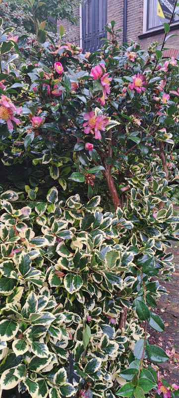 [Image: 20231027-141839.jpg]