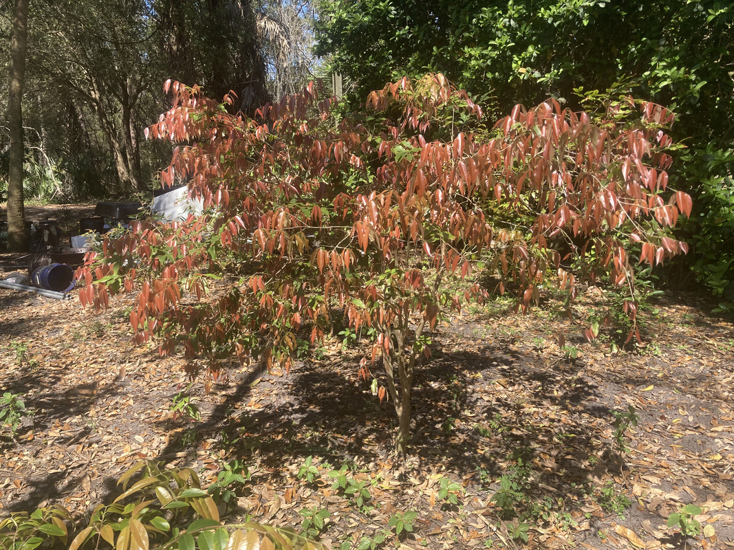 FAE51065-5C44-42A3-89D7-5259012B3256