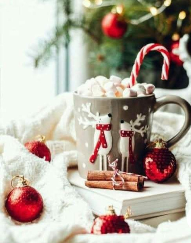 Screenshot_20230124_004751_Chrome