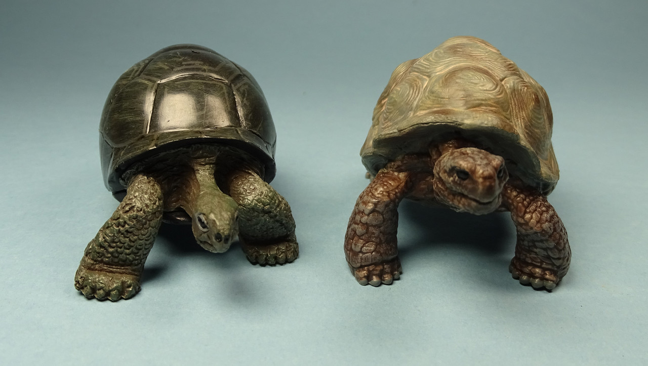 Aldabra Giant Tortoise Turtle 7 cm Colorata Life like animal figure Collection 