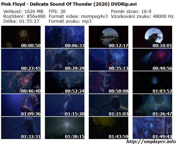 Pink Floyd - Delicate Sound Of Thunder (2020)