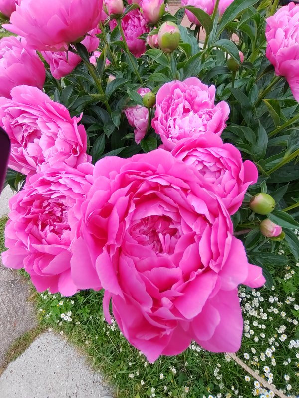 https://i.postimg.cc/76F6q4k2/026-IMG-20240607-113351.jpg