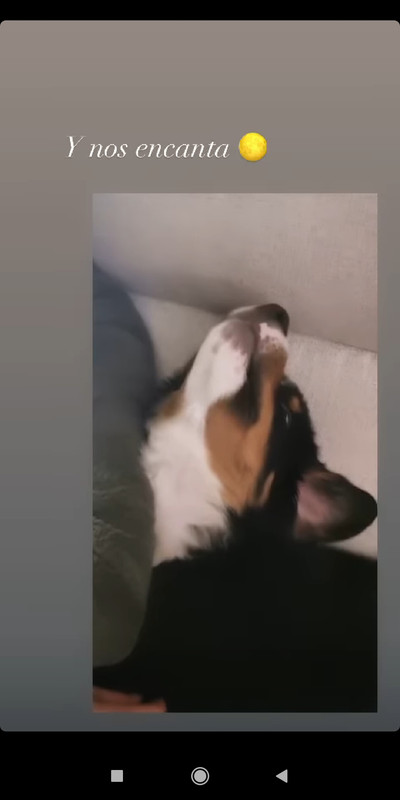 Screenshot_2021-01-02-22-30-20-523_com.instagram.android