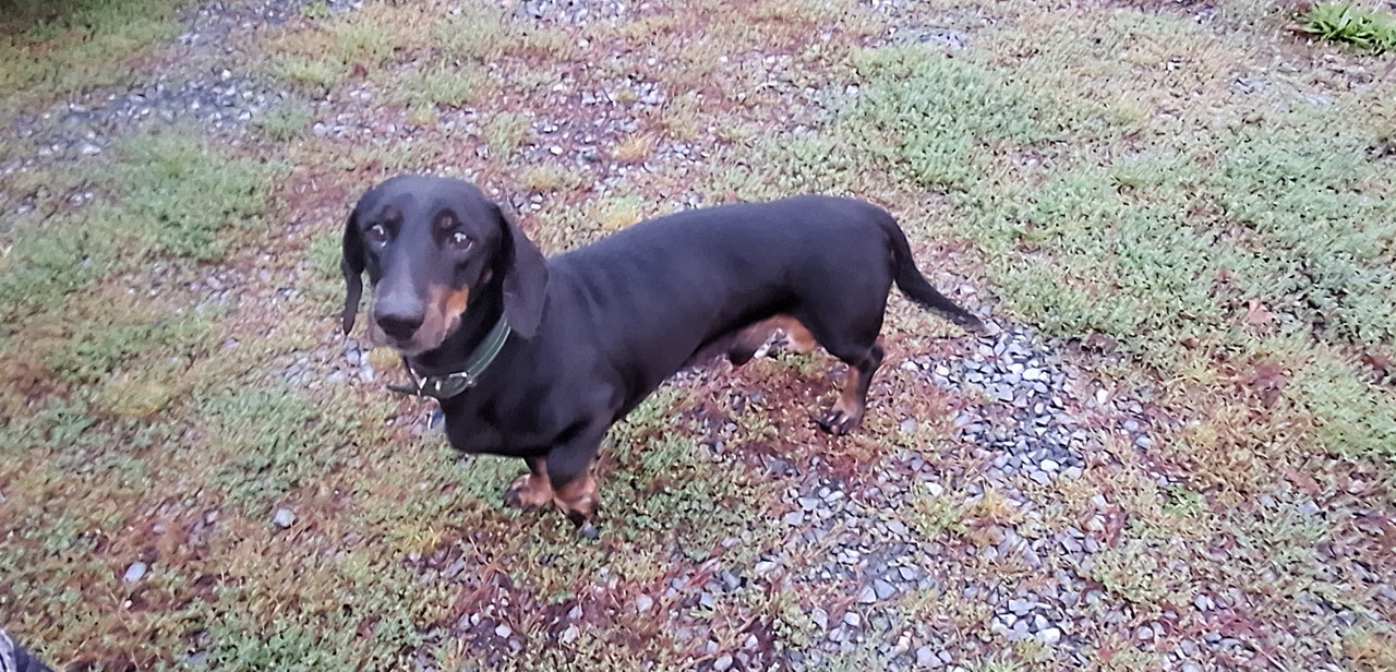 [Image: 20240907-072501.jpg]