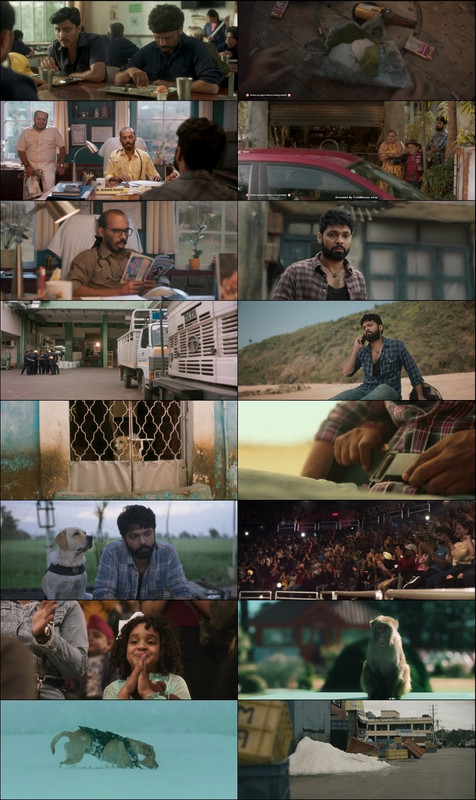 777 Charlie 2022 Full Movie Download WEB-DL.AAC.5.1{Hindi Dubbed} 480p || 720p || 1080p 1 777 Charlie 2022 Full Movie Download WEB-DL.AAC.5.1{Hindi Dubbed} 480p || 720p || 1080p
