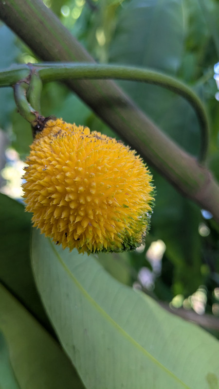 PXL_20250803_214245219