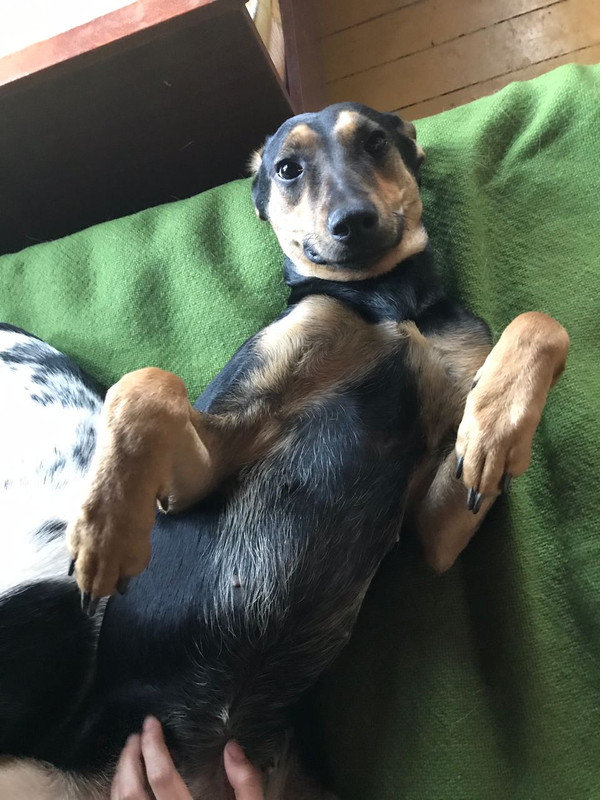 B9AD8E44-D097-4E7B-A896-B31B1ED85147