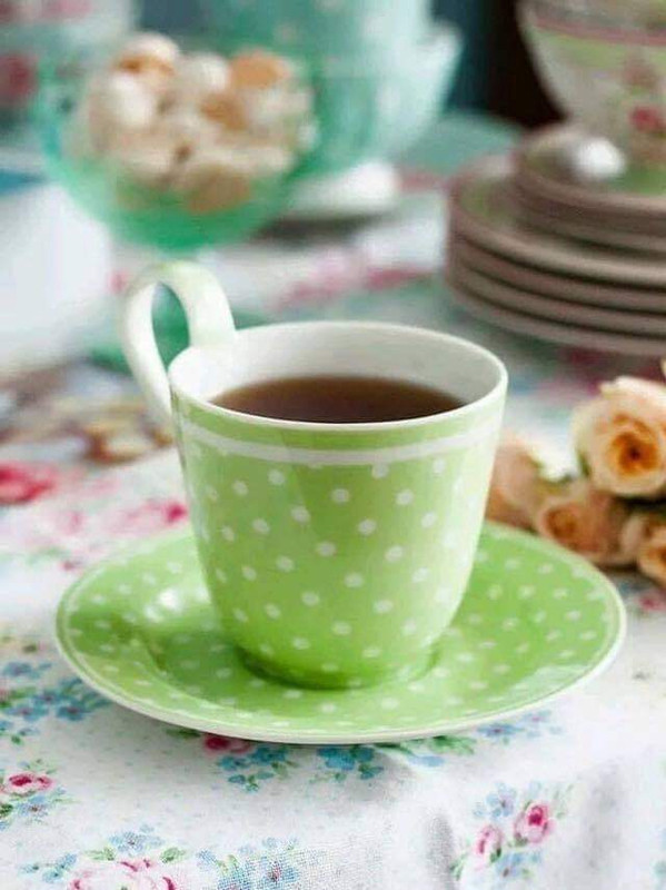 FB_IMG_1711343301302