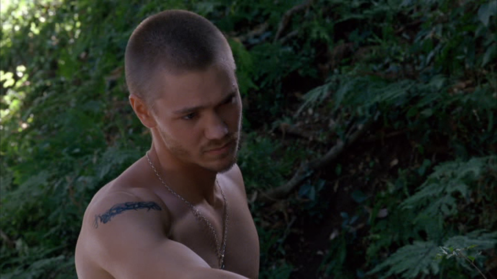 vlcsnap-2025-01-10-15h11m11s325