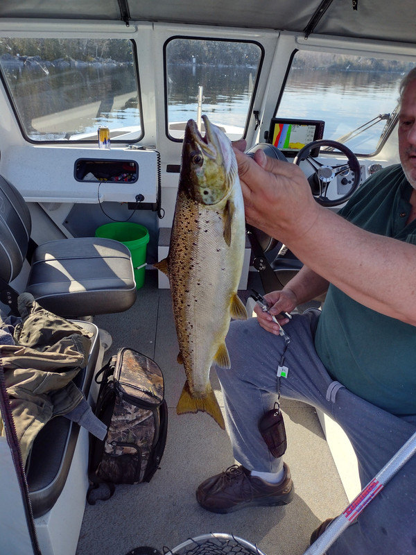 DAE6A012-1407-4D7F-AFB1-88C1C4EE58D2