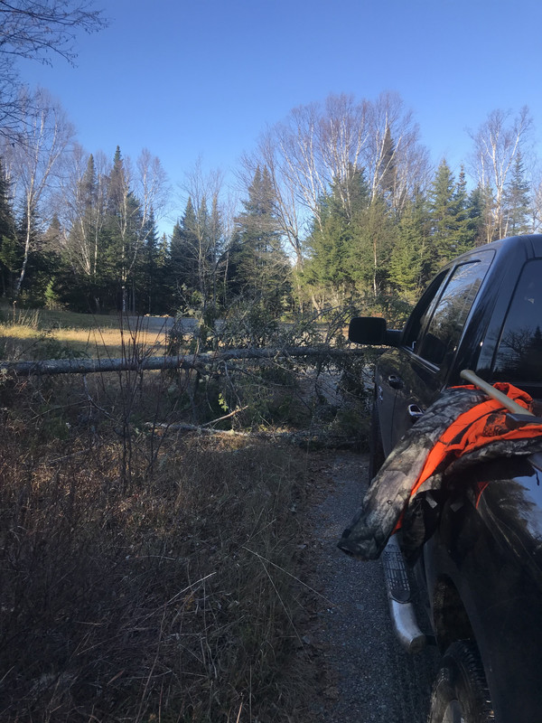 E432919D-B229-4715-BE74-07CA79C799BA