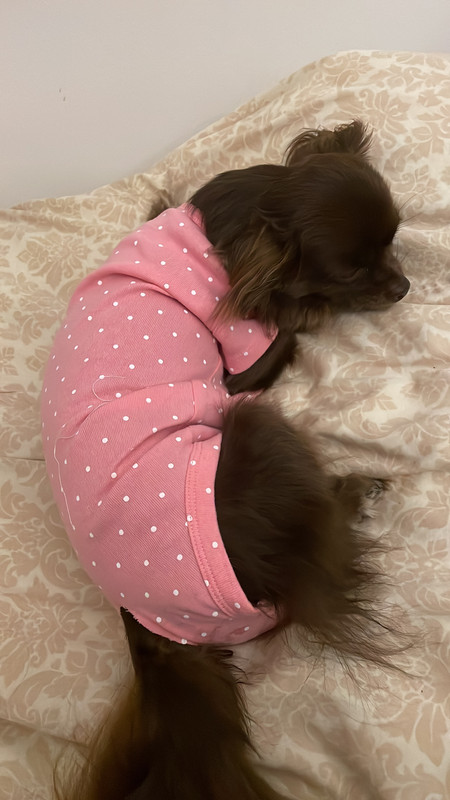 E0436EE5-BB0A-4E91-BB94-EBD397B8AB77