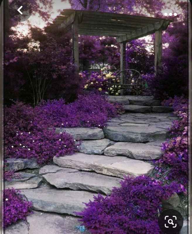 Screenshot_20231102_194626_Pinterest