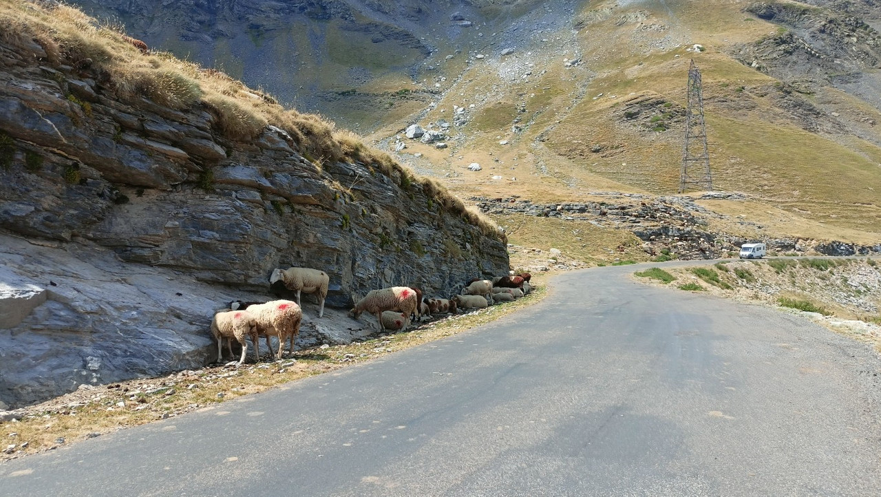 IMG20250811142258 (Medium)