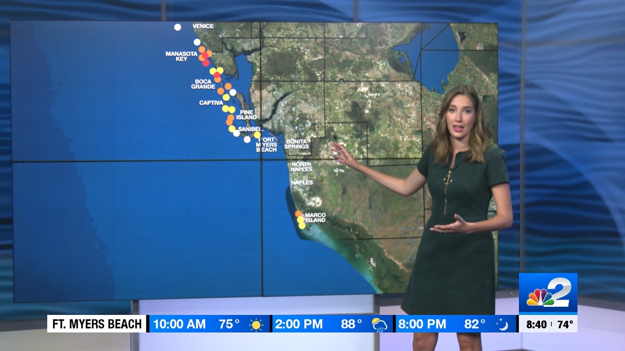 04.08 - 13.30.00 - NBC 2 News Today - Saturday  ᴺᵉʷ..ts_snapshot_00.17.19.832