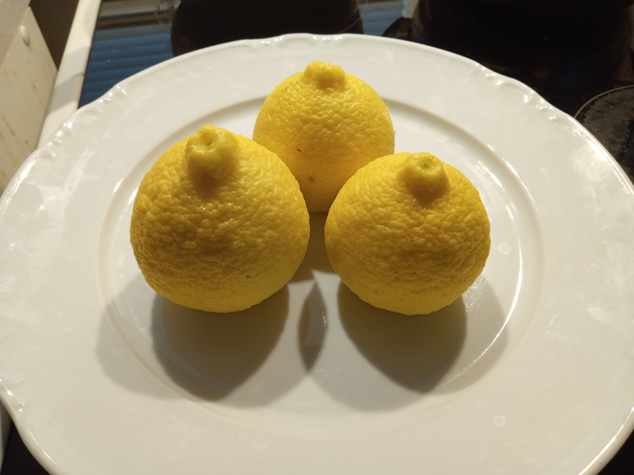 IMG 20251215 101641734 MFNR