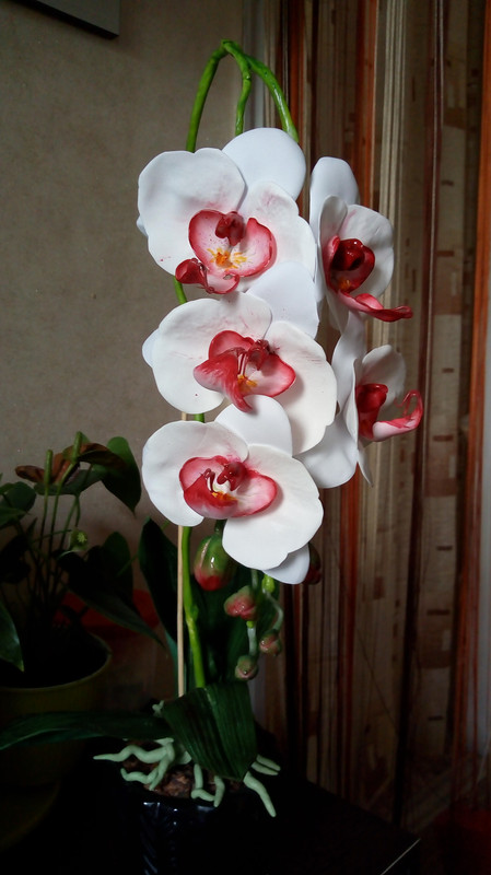 IMG_20180720_170717652