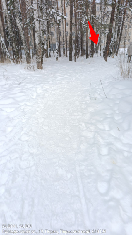 Screenshot 20251225 204356