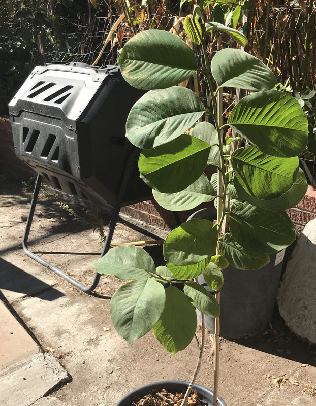 FD197095-63B7-4D31-A822-90BBCAAAAA83