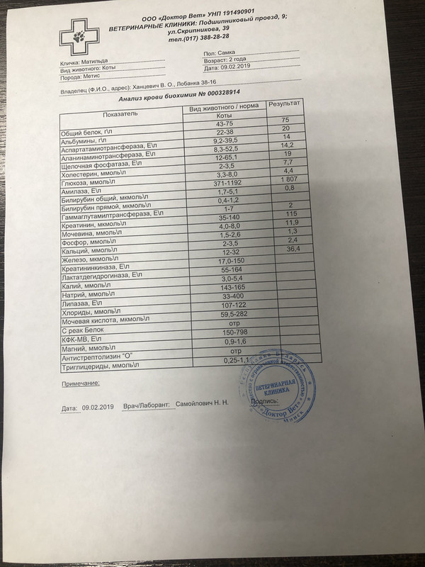 8AE67F7A-551E-4CBD-AFF7-386076BA6451