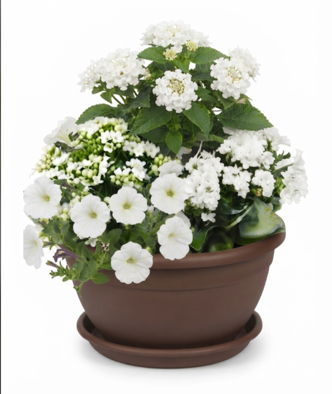 Composition enfant fleurs blanches 3