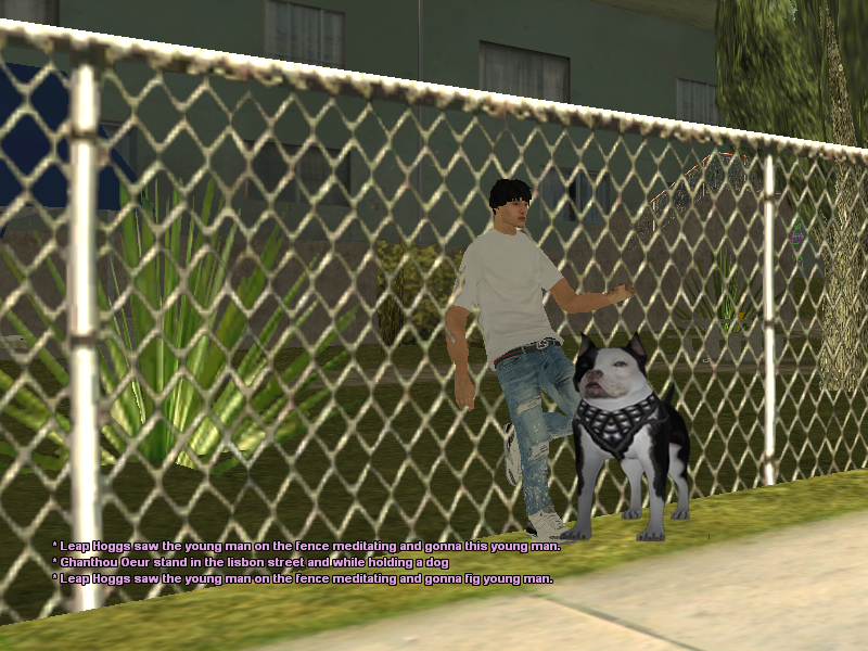DOG.png