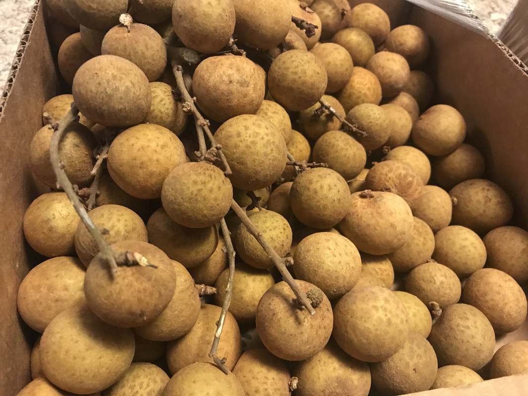 9A4D6E09-589D-4C26-A76D-91D2B838205A