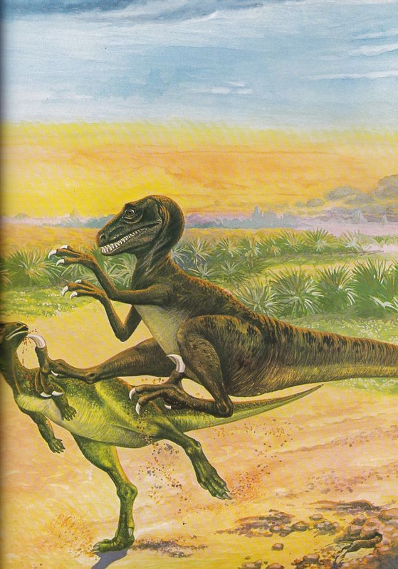 b3c9e50fdc33edd4ee0ca399cd4333a9 (1)